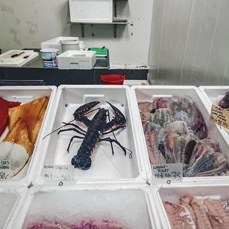 Casa de Férias Amazing In With Wifi *