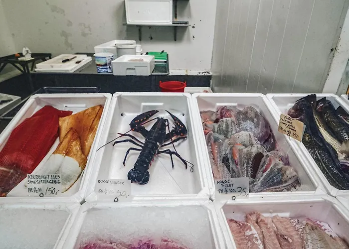 Casa de Férias Amazing In With Wifi *